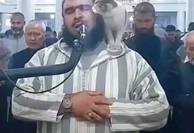 الإمام صاحب القطة